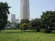 view08001-thumb-196xauto-91738