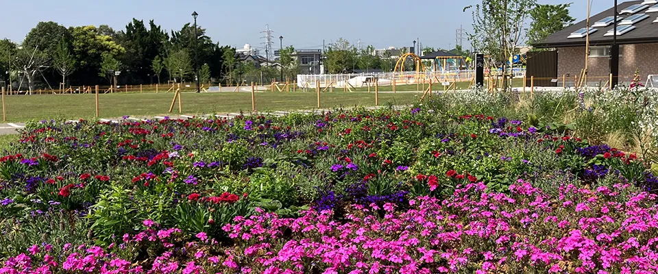 公園風景